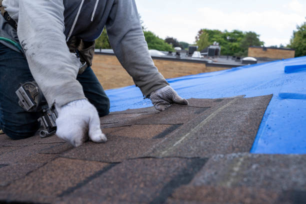 Best Flat Roof Repair Services  in North River Shores, FL