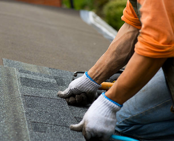Best Roof Gutter Cleaning  in North River Shores, FL